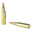 Hornady Precision Hunter .300 WSM 200gr ELD-X 20rd