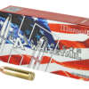 Hornady American Whitetail .450 Bushmaster 245gr 20rd