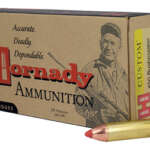 Hornady .450 Bushmaster 250gr FTX 20rd