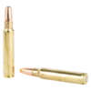 Hornady .375 Ruger 300gr DGX 20rd
