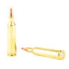 Hornady .22-250 Remington 55gr V-MAX 20rd
