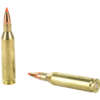 Hornady Superformance .243 Winchester 58gr V-MAX 20rd