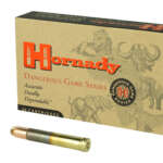 Hornady .458 Winchester Magnum 500gr DGX 20rd
