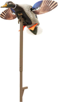 MOJO ELITE SERIES MINI MALLARD - DRAKE DECOY
