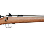 Keystone Sporting Arms Crickett 22Lr Ss/Walnut