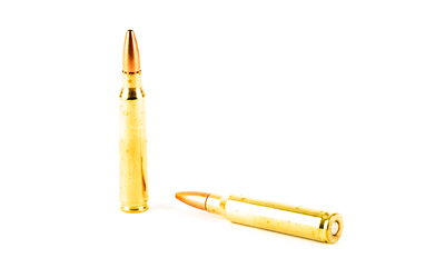 LEHIGH CTRL CHAOS 223REM 62GR 20/200