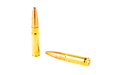 LEHIGH MAX EXP 300BLK 194GR 20/200