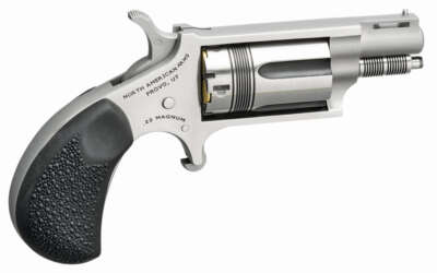 NORTH AMERICAN ARMS THE WASP 22MAG REV 1-1/8" SS