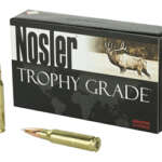 NOSLER 308WIN 165GR AB 20/200