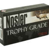 NOSLER 30NOS 180GR AB 20/200