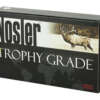 NOSLER 30NOS 210GR ABLR 20/200