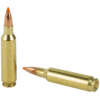 NOSLER 22NOS 55GR BT 20/200