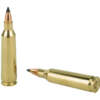 NOSLER VG 22-250 55GR FB TIP 20/200