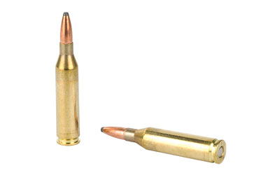 PPU 243WIN SP 100GR 20/200