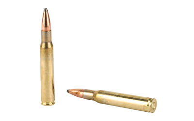 PPU 30-06 PSP 165GR 20/200