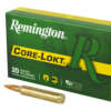 REM 300RUM 180GR CL 20/200