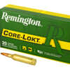 REM 243WIN 100GR PSP CL 20/200