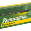 REM 3030WIN 170GR SP CL 20/200