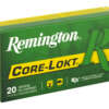 REM 6MM 100GR CM CL 20/200