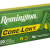 REM 250SAV 100GR PSP 20/200
