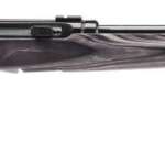 Savage A17 Target .17 HM2 22" Barrel Semi-automatic Rifle