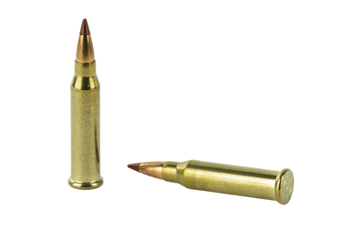 WIN VARMINT HV 17WSM 20GR PT 50/500