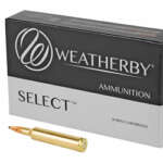 WBY AMMO 257WBY 100GR HRNDY INTER