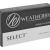 WBY AMMO 257WBY 100GR HRNDY INTER