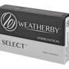 WBY AMMO 300WBY 165GR HRNDY INTER