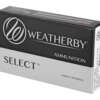 WBY AMMO 300WBY 180GR IL 20/200