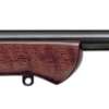 Anschutz 1710D Kl 22Lr - 23" Blued Monte-Carlo Stock
