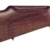 Anschutz 1712 Silhouette 22Lr - 2-Stg 21.6" Blued Monte-Carlo