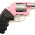 Charter Arms Pink Lady 22Wmr - 2" Pink/Ss Rubber