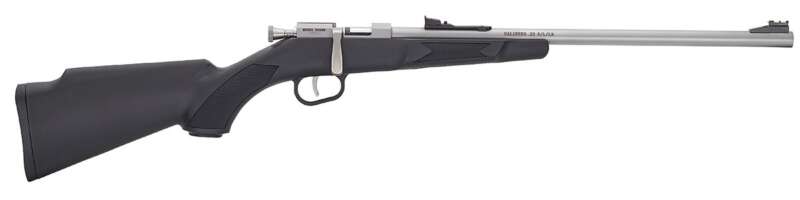 Henry Repeating Arms H5 Mini Bolt G2 22Lr Ss/Syn