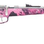 Henry Repeating Arms H5 Mini Bolt G2 22Lr Ss/Muddy