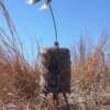 MOJO SUPER CRITTER W/CRITTER - TOPPER & SPEAKER