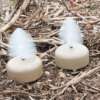 MOJO DOVE A FLICKER (4 PACK)