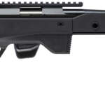 Tikka T1X Ace Target 17Hmr 20"