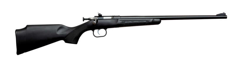 Keystone Sporting Arms Crickett 22Mag Bl/Black Syn