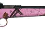 Keystone Sporting Arms Crickett 22Lr Bl/Pink Blaze