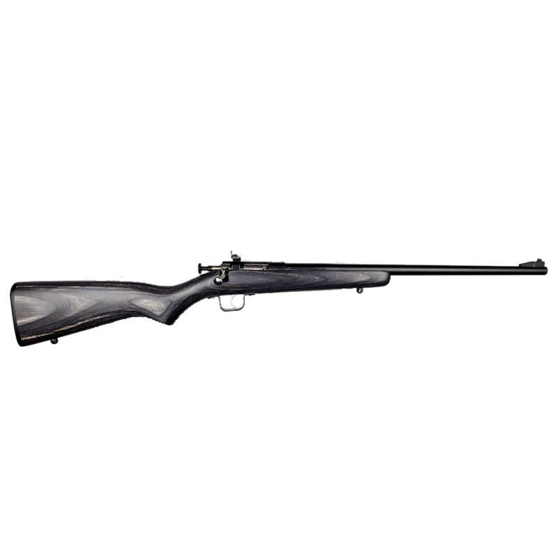 Keystone Sporting Arms Crickett 22Lr Bl/Black Lam