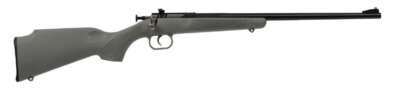 Keystone Sporting Arms Crickett 22Lr Bl/GRY