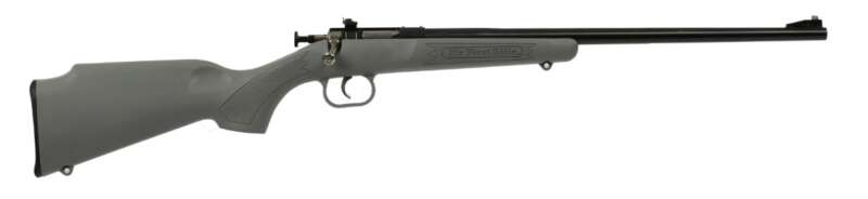 Keystone Sporting Arms Crickett 22Lr Bl/GRY