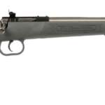 Keystone Sporting Arms Crickett 22Lr Ss/GRY