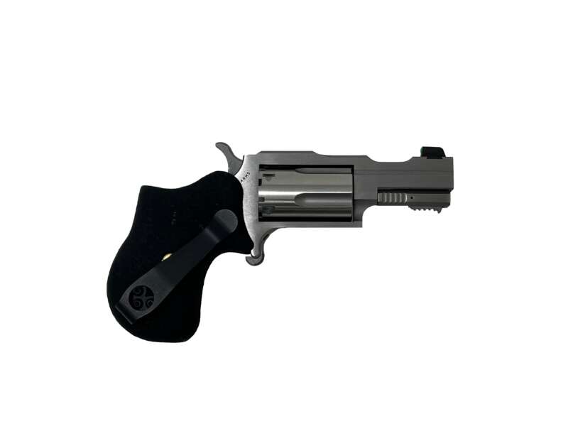 NORTH AMERICAN ARMS 22MAG 1-5/8" RULE 1 SS XS SGHT
