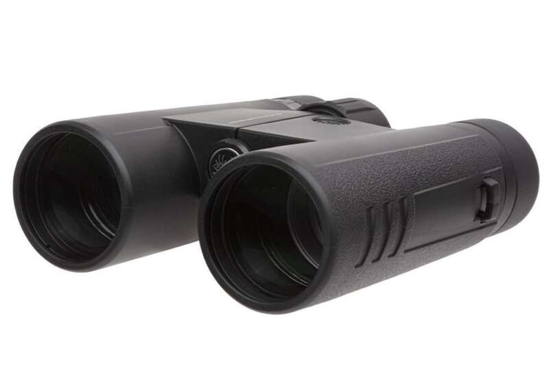 SIG SAUER BUCKMASTERS BINO 10X42 BLK
