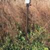 HME TRAIL CAM GROUND MOUNTING - STICK ADJUSTABLE 26"-36"