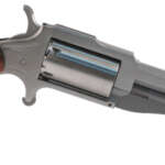 NORTH AMERICAN ARMS THE EARL 22MAG 3" SS 5SH