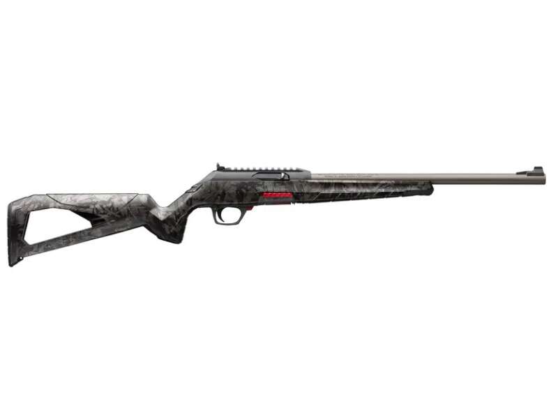 Winchester .22 LR  50rd