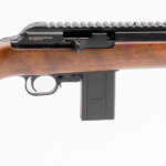 CHIAPPA FIREARMS BUSHRANGER 22LR WD/CF 10RD 16"